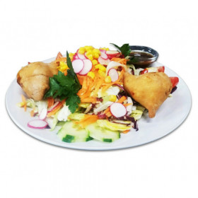 48 Samosa ( Vegetarisch ) 48 Samosa ( Vegetarisch )
